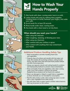 Hand Wash Poster