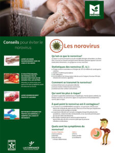 Norovirus Poster - French