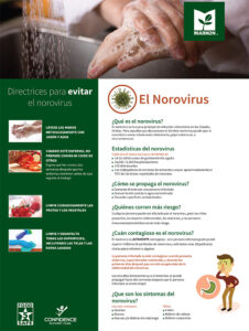 Norovirus Poster - Spanish